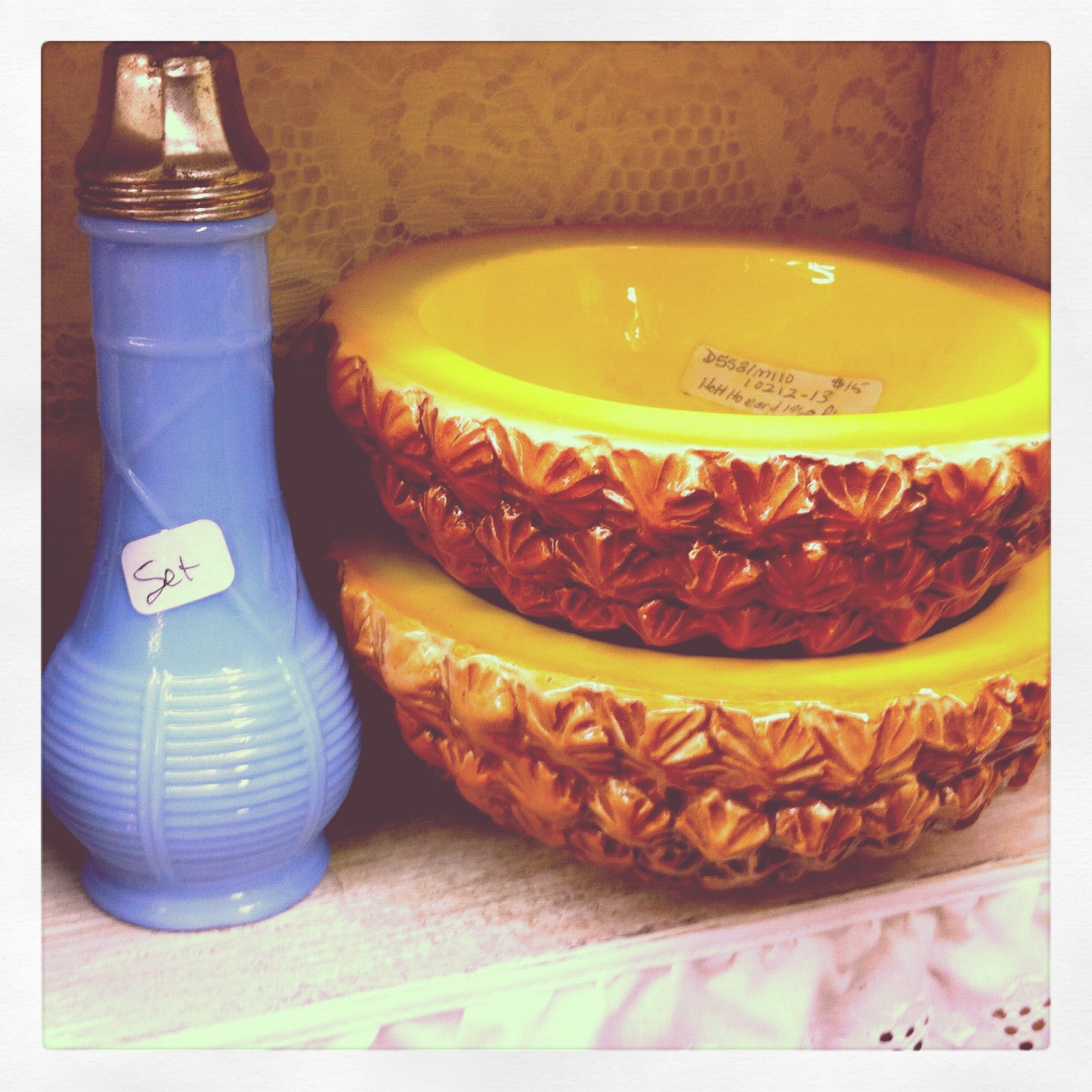 Week in Review Entering the Blogging Community Helping Pets Behave